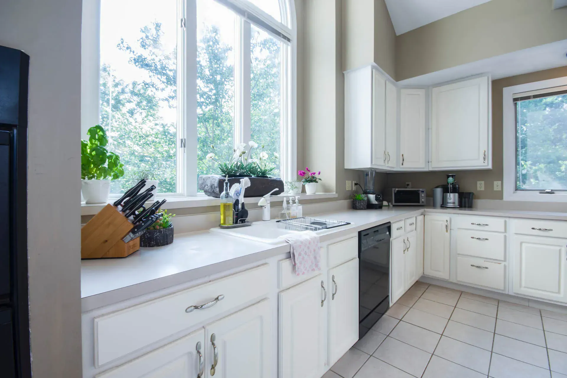 imgi_2_6668e237f45527e80b2c90ea_windows-vinyl-banner.webp
