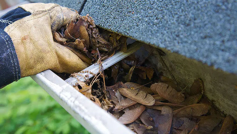 Clogged up gutters with leaves and debris