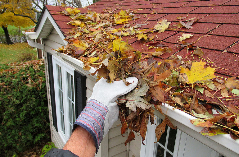 Removing leaves from a clogged gutter
